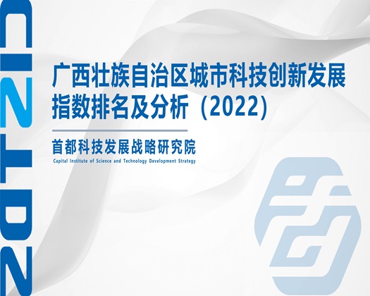 大鸡巴操逼逼【成果发布】广西壮族自治区城市科技创新发展指数排名及分析（2022）